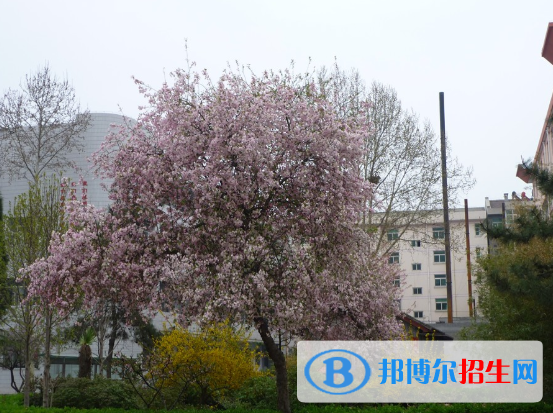 隴縣崇文中學2020年招生計劃