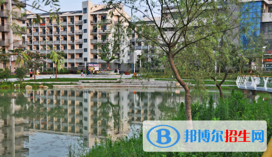 安徽體育運動職業(yè)技術(shù)學院2020年有哪些專業(yè)