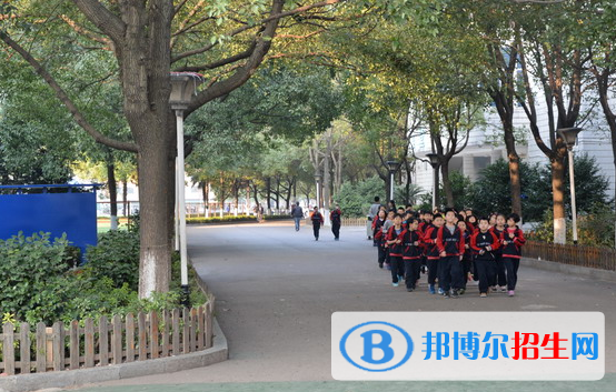 長沙麓山國際實驗學(xué)校初中部2020年招生計劃