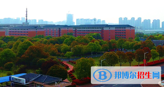 民辦合肥濱湖職業(yè)技術(shù)學院地址在哪里