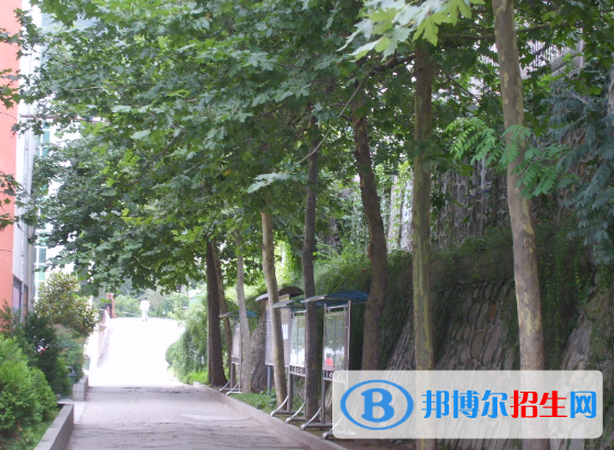 鳳縣雙石鋪中學2020年招生代碼