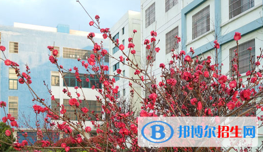 巢湖市翰文學(xué)校怎么樣、好不好