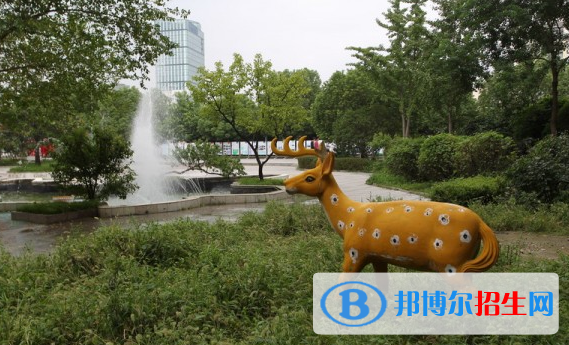 連云港外國(guó)語學(xué)校2020年報(bào)名條件、招生要求、招生對(duì)象
