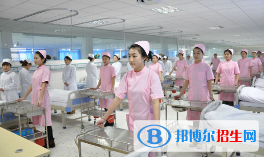 甘肅2020年大專學校有衛(wèi)校