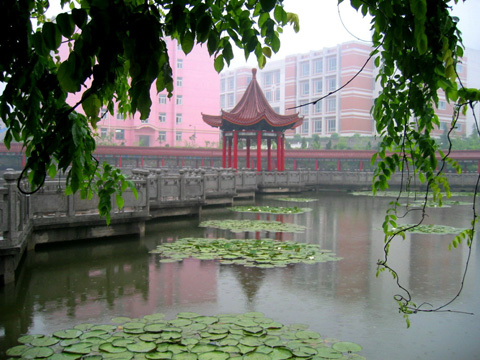 金肯職業(yè)技術(shù)學(xué)院怎么樣、好不好