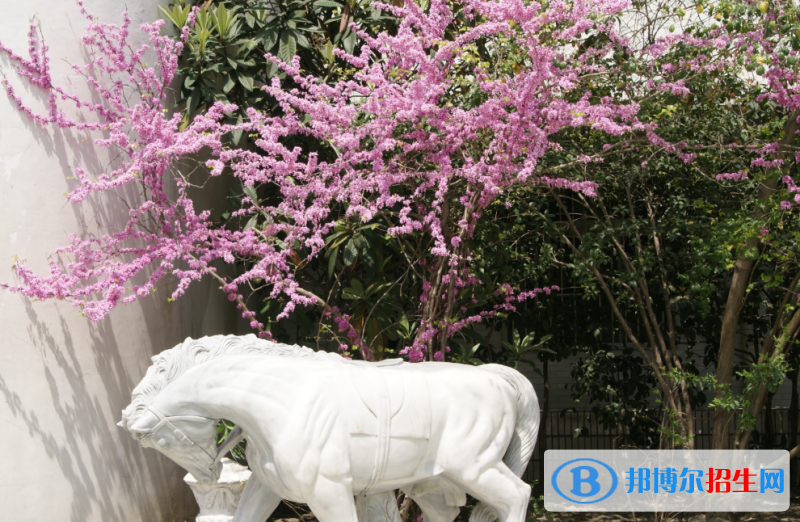 杭州國(guó)泰外語(yǔ)藝術(shù)學(xué)校初中部怎么樣、好不好
