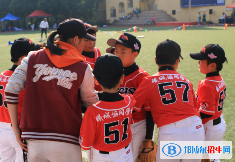 深圳曦城協(xié)同國際學(xué)校初中部2023年招生計(jì)劃