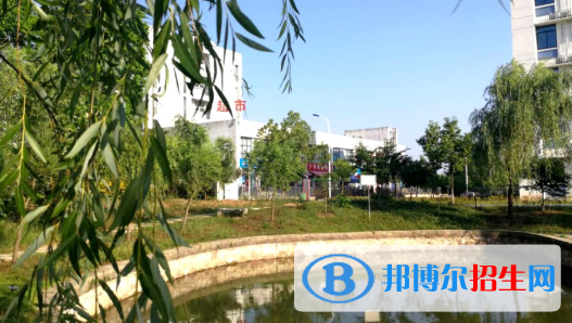合肥科技職業(yè)學(xué)院2020年報(bào)名條件、招生要求、招生對象