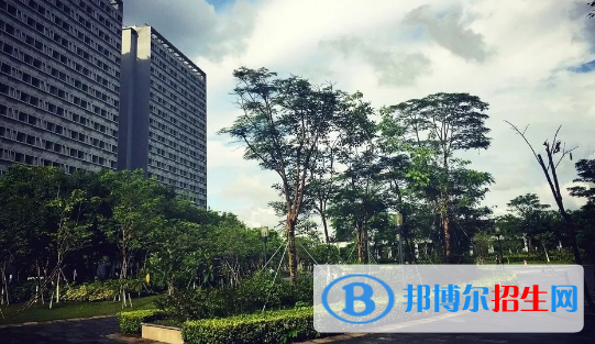 深圳信息職業(yè)技術(shù)學(xué)院2020年報(bào)名條件、招生要求、招生對(duì)象