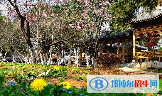 安徽林業(yè)職業(yè)技術(shù)學(xué)院2020年報(bào)名條件、招生要求、招生對(duì)象