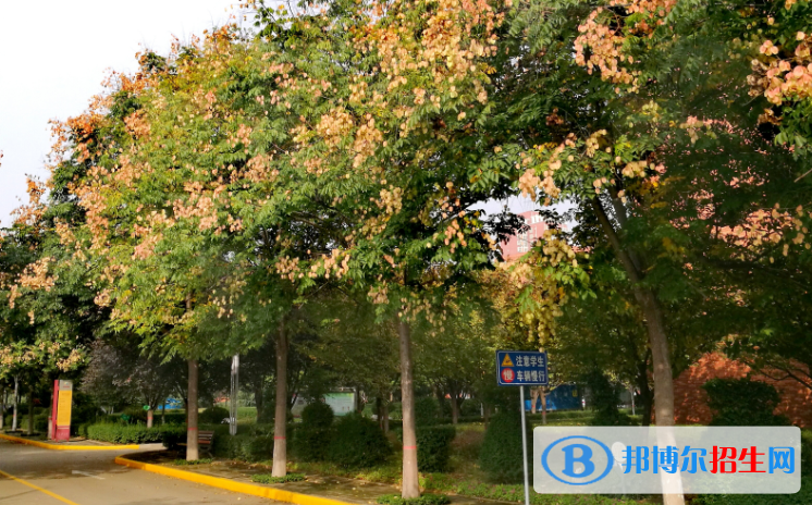 渭南高級(jí)中學(xué)網(wǎng)站網(wǎng)址