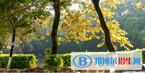 廣西民族中等專業(yè)學校2020年招生辦聯(lián)系電話