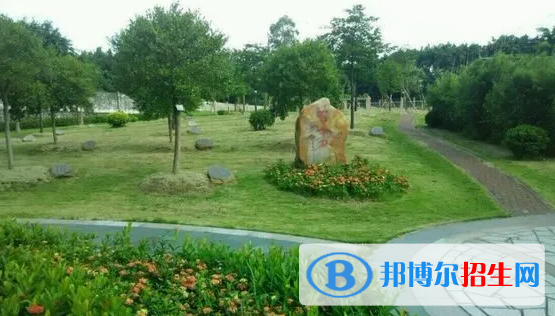 廣州體育職業(yè)技術(shù)學(xué)院五年制大專2020年招生錄取分數(shù)線