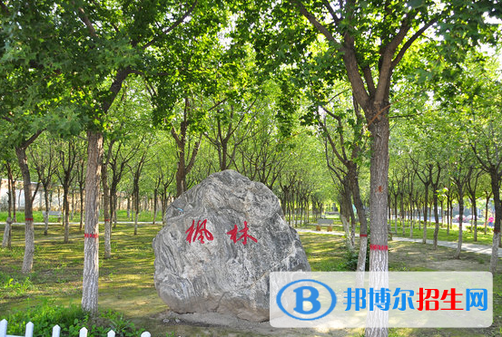 渭南橋山中學(xué)怎么樣、好不好