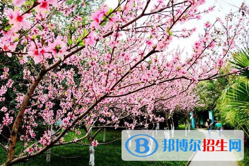江陽城建職業(yè)學院2020年招生簡章