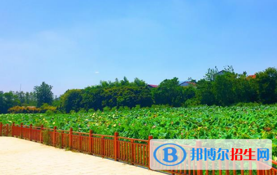 江西楓林涉外經(jīng)貿(mào)職業(yè)學院2020年報名條件、招生要求、招生對象