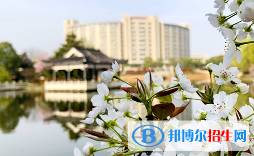 民辦合肥財(cái)經(jīng)職業(yè)學(xué)院怎么樣、好不好