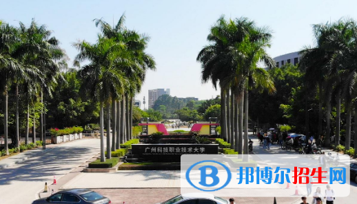 廣州科技職業(yè)技術(shù)大學(xué)2020年招生簡章