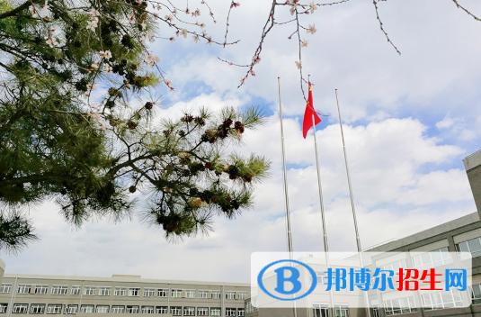 東北育才學(xué)校國際小學(xué)部2020年學(xué)費、收費多少