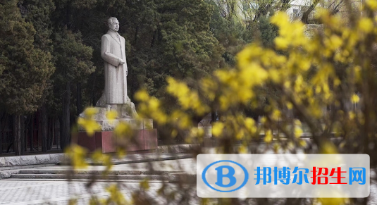 東北育才學(xué)校國際小學(xué)部2020年報名條件、招生要求、招生對象