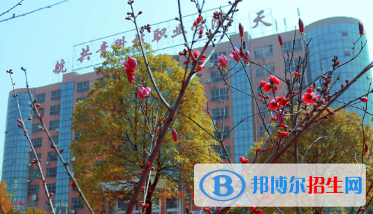 共青科技職業(yè)學(xué)院2020年有哪些專(zhuān)業(yè)