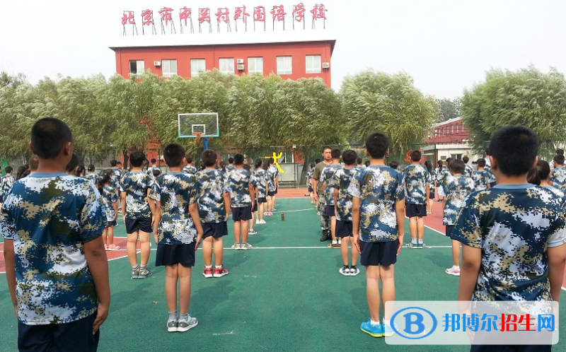 北京中關(guān)村外國語學校小學部2023年招生計劃