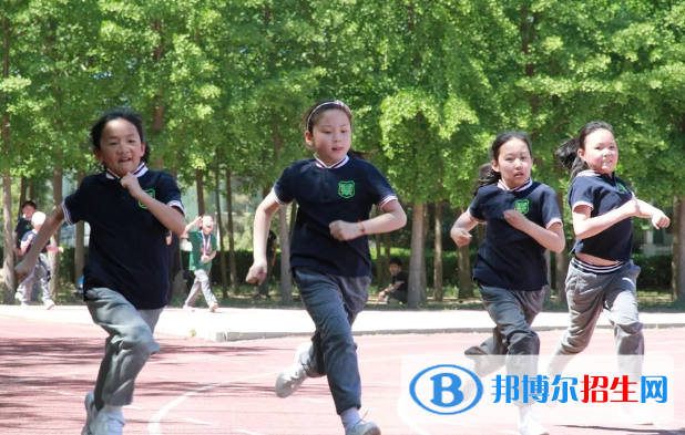 北京私立樹人瑞貝學(xué)校小學(xué)部2023年招生簡章