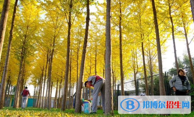 北京私立樹人瑞貝學(xué)校小學(xué)部怎么樣、好不好