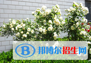 韓城市新蕾中學(xué)2020年招生辦聯(lián)系電話