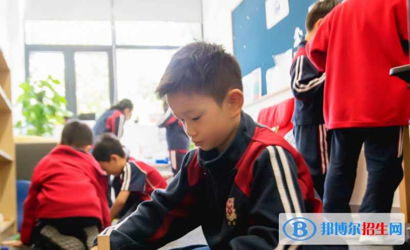 上海德閎學校小學部2020年報名條件、招生要求、招生對象
