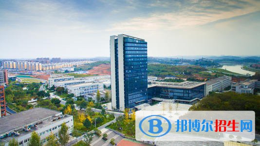成都工業(yè)職業(yè)技術(shù)學(xué)院2020年招生簡(jiǎn)章