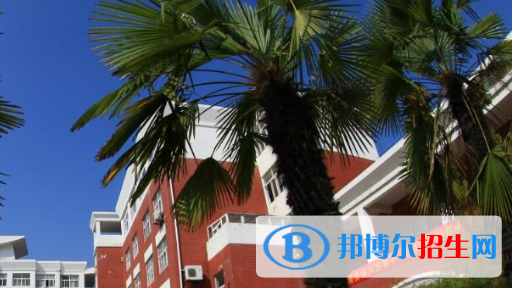安徽中澳科技職業(yè)學院2020年招生代碼