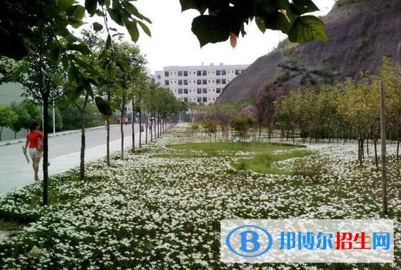 重慶三峽職業(yè)學院2020年學費、收費多少