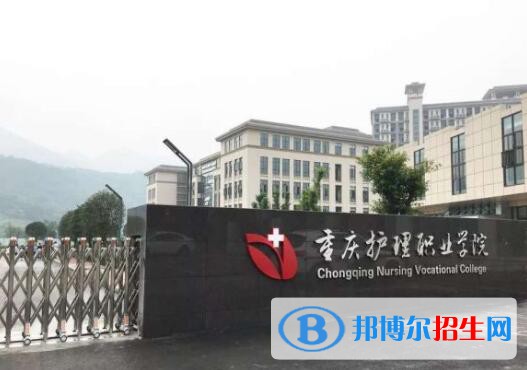 重慶護理職業(yè)學院2020年招生代碼