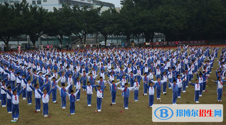 深圳石巖公學(xué)學(xué)校國(guó)際部小學(xué)地址在哪里