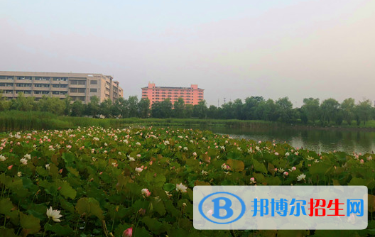 安徽汽車職業(yè)技術(shù)學院網(wǎng)站網(wǎng)址