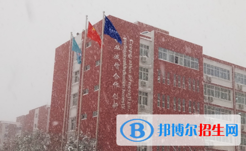 洛陽華洋國際學(xué)校小學(xué)部2020年學(xué)費(fèi)、收費(fèi)多少