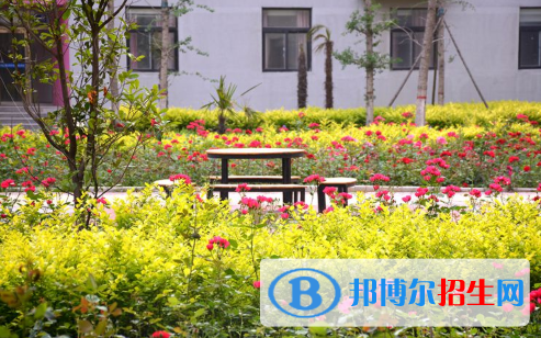 河南師大附中雙語(yǔ)國(guó)際學(xué)校小學(xué)部2020年招生辦聯(lián)系電話