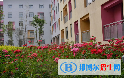 河南師大附中雙語國際學(xué)校小學(xué)部怎么樣、好不好