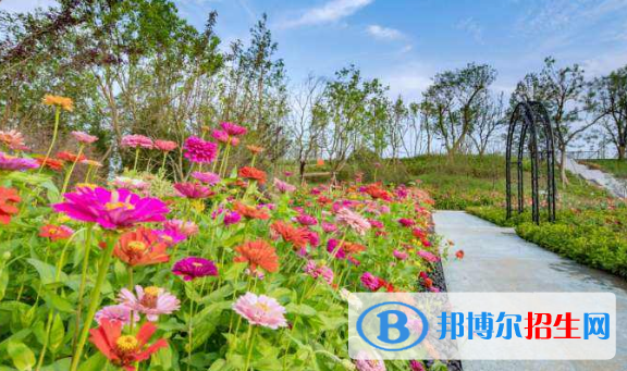 安陽(yáng)新坐標(biāo)國(guó)際學(xué)校小學(xué)部網(wǎng)站網(wǎng)址 