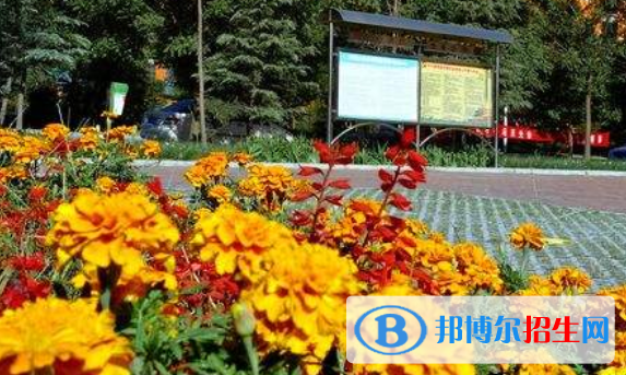 山西運城國際學(xué)校小學(xué)部2020年招生簡章