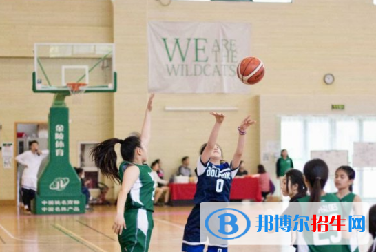 青島MTI國際學(xué)校(ISQ)小學(xué)部2020年學(xué)費(fèi)、收費(fèi)多少