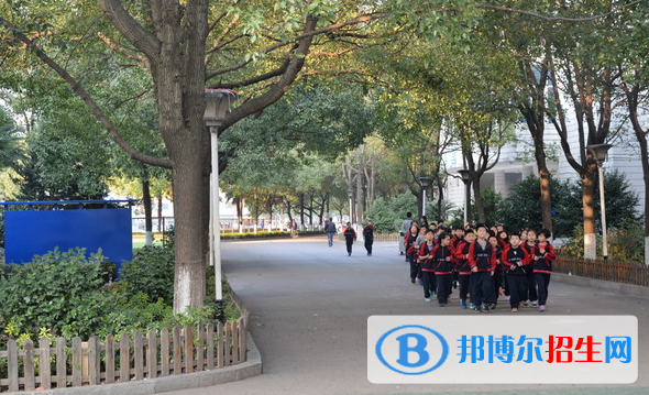 長沙麓山國際實(shí)驗(yàn)學(xué)校小學(xué)部2020年報(bào)名條件、招生要求、招生對象