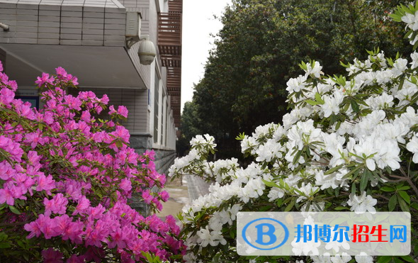 長沙麓山國際實驗學(xué)校小學(xué)部地址在哪里