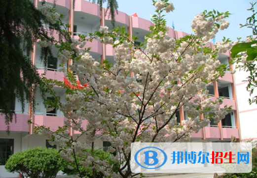 西鄉(xiāng)二中2020年報名條件、招生要求、招生對象