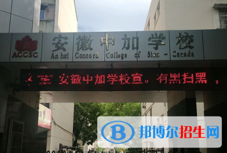 安徽中加學(xué)校小學(xué)部網(wǎng)站網(wǎng)址