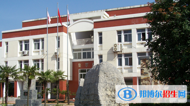 合肥世界外國(guó)語學(xué)校小學(xué)部2020年報(bào)名條件、招生要求、招生對(duì)象