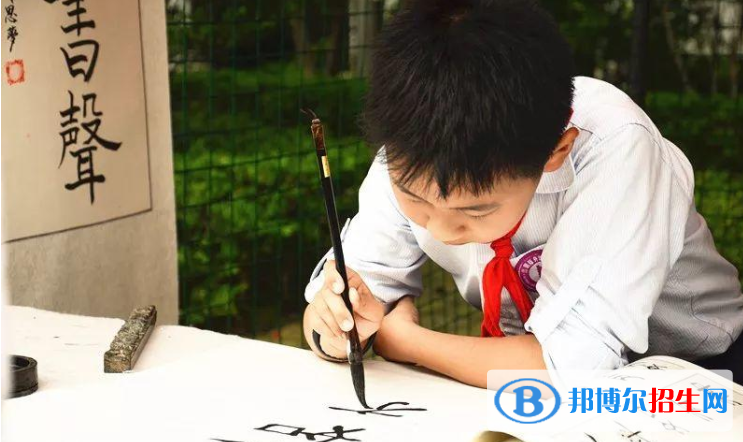 蘇州國際外語學(xué)校小學(xué)部2020年招生計劃
