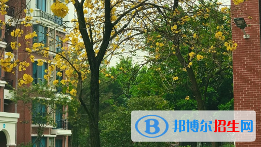 廣東碧桂園職業(yè)學(xué)院2020年學(xué)費(fèi)、收費(fèi)多少