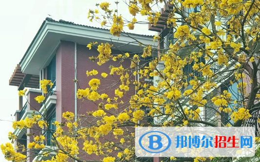 廣東碧桂園職業(yè)學院2020年報名條件、招生要求、招生對象